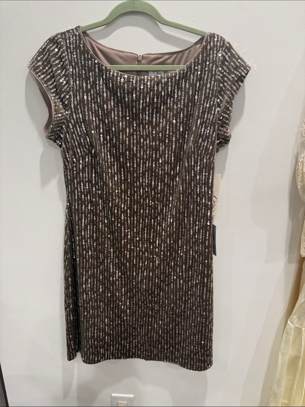 Eliza J Brown Sequin-Striped Cap-Sleeve Mini Dress